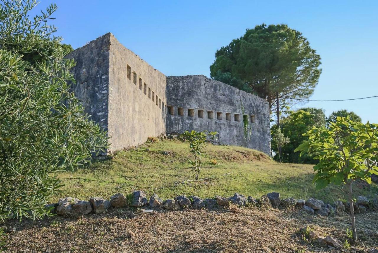 Villa Omnia - Kommeno Bay Dassia  Exterior foto
